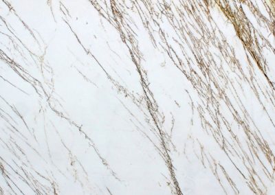 Maestro Surfaces - Marble - Bianco Spider photo