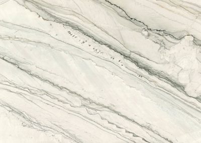 Maestro Surfaces - Quartzite - Infinity White photo