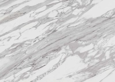 Maestro Surfaces - Porcelain - Calacatta Vecchia - Side B photo