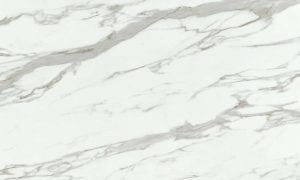 Maestro Surfaces - Porcelain - Versaille Bianco - Side B